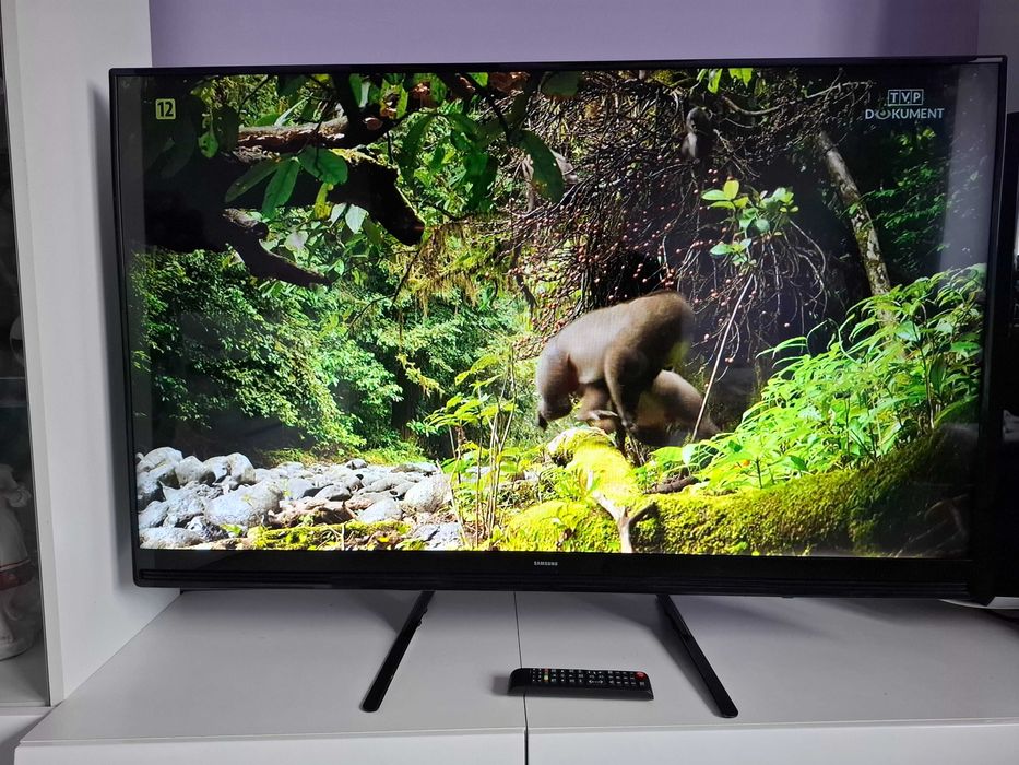 Telewizor Samsung UE49K5100AW