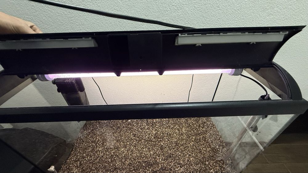 Aquário grande com termoestato