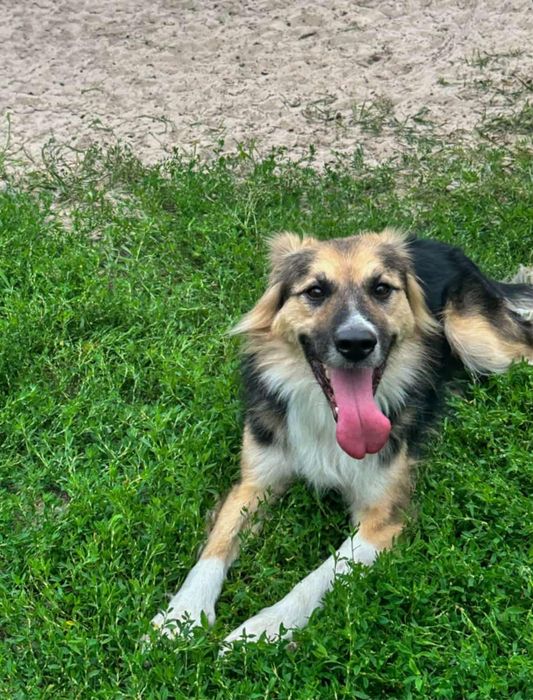 Słodki Mati szuka swojego przyjaciela