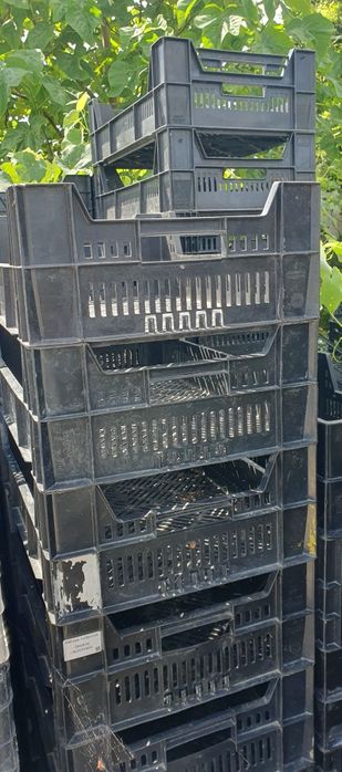 Skrzynka skrzynki skrzyneczki