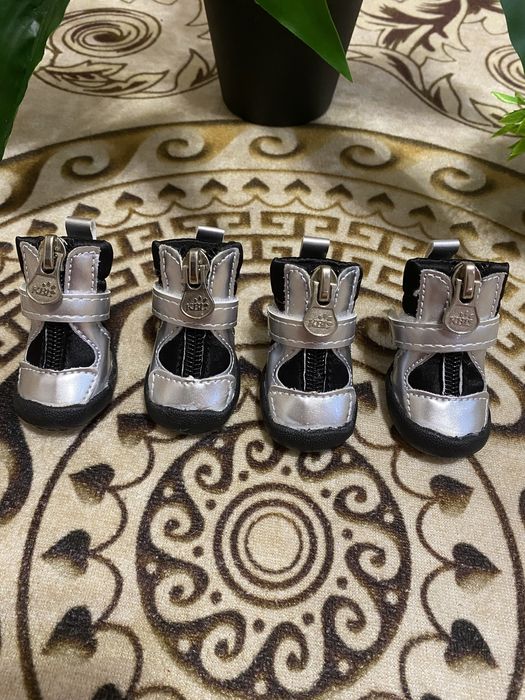 Ботинки для собак