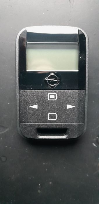 Pilot eberspacher Remote +