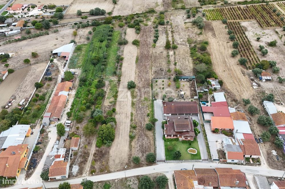 Terreno Cadima