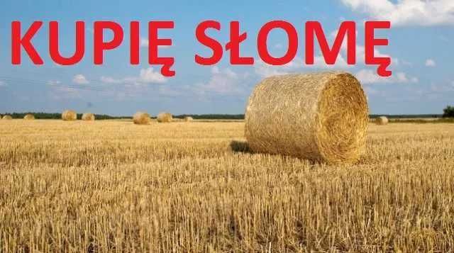 słoma 2026  balot i duża kostka