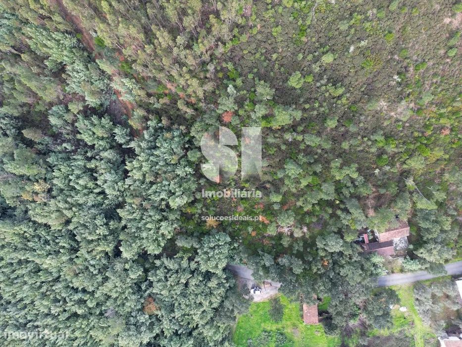 Terreno em Arganil