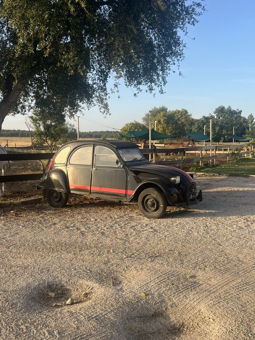 Citroen 2cv antigo