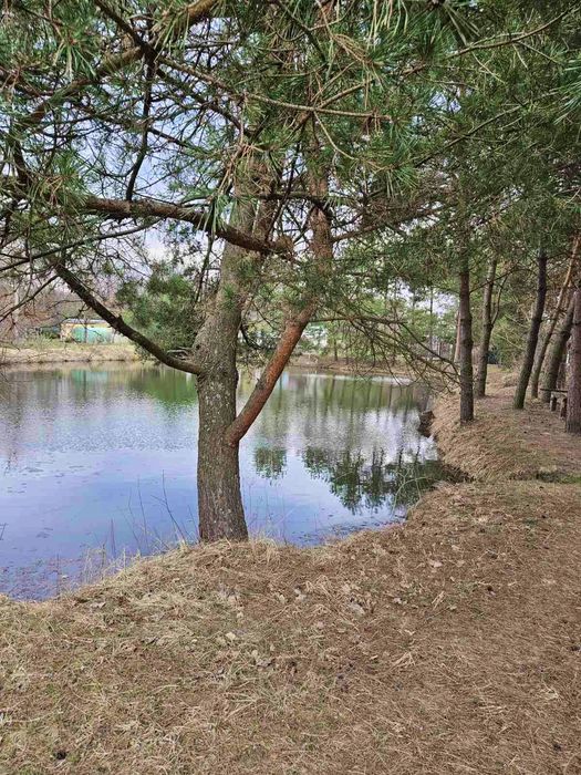ПРОДАЖ дачі з будиночком , сосновий  ліс , озеро.