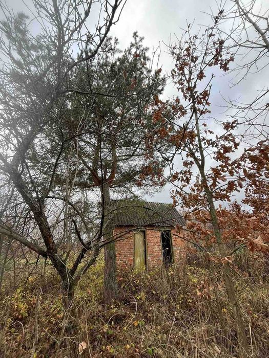 (5) Продаж ділянки в с.Некрасово 9793