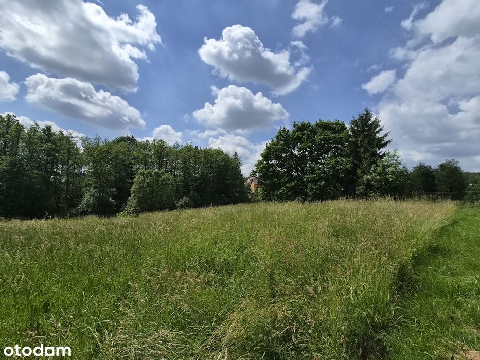 Działka budowlano-leśna w Dobranowicach - Widok 4