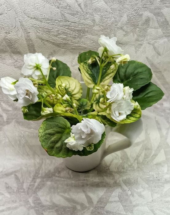 Фиалки сортовые детки