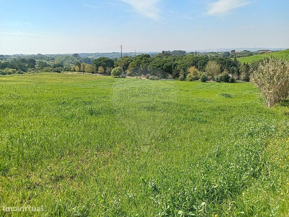 Terreno  para venda