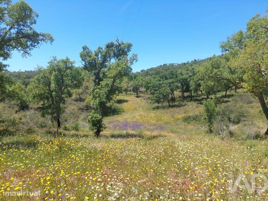 Terreno em Melides de 248300,00 m2