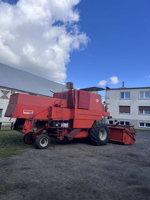 Sprzedam Bizona 056