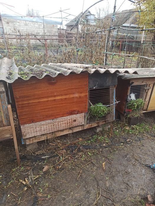 Продам клетки для кролей