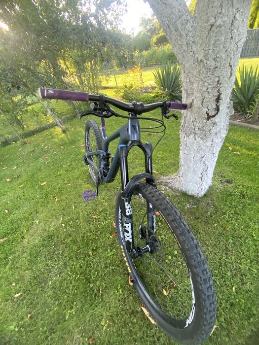 Rower Wheeler raptor carbon 17