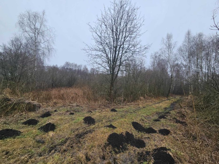 Sprzedam las i grunty calość 3,16ha