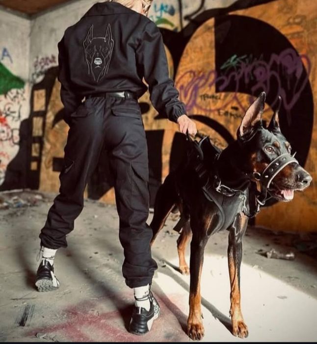 Бомбер з джогерами