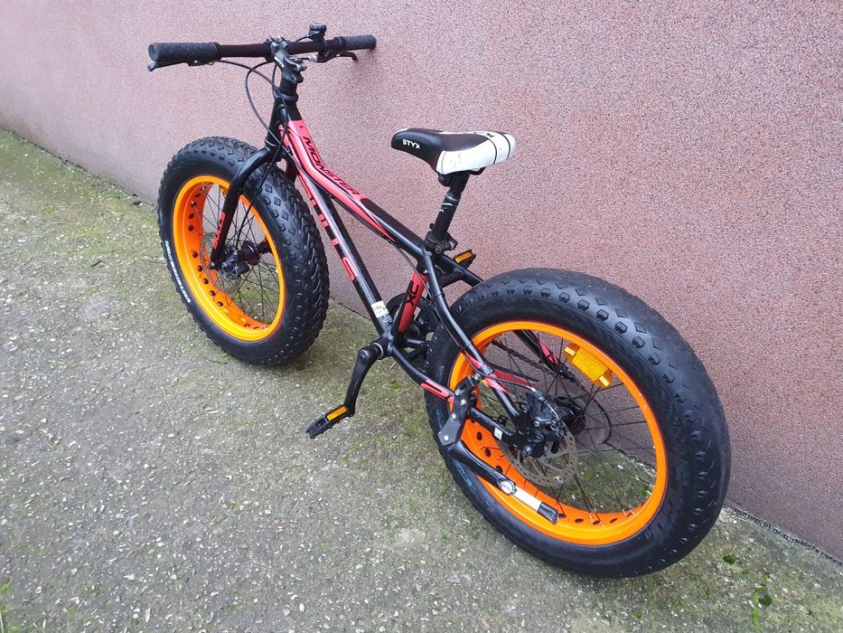 Rower Fitbike Bulls koła 20"