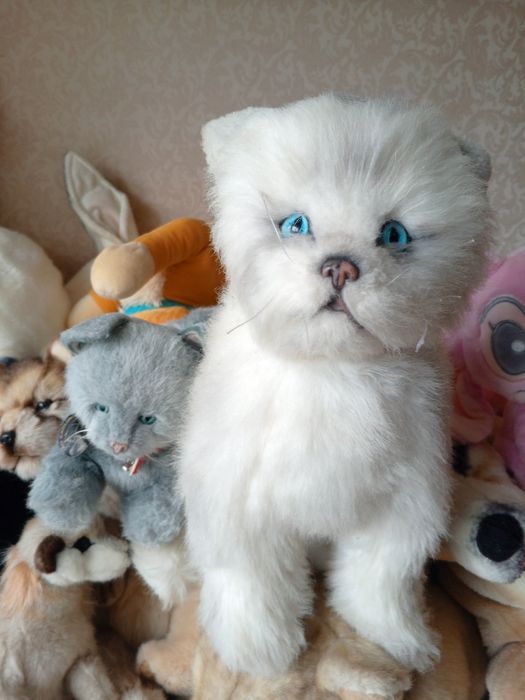 Колекційні іграшки Котики  Real soft toys