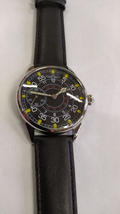 Mołnia pasówka pilot