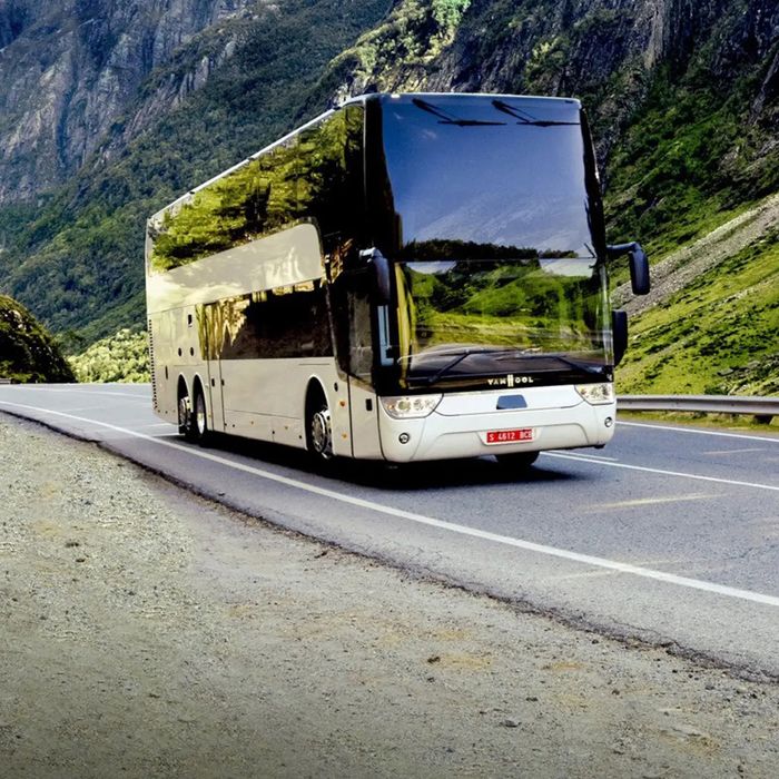 Компанія, фірма ТОВ з ліцензією на міжнародні пасажирські перевезення