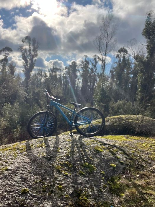 Bicicleta rockraider st500