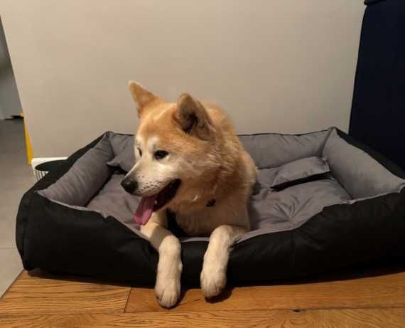 Legowisko dla psa kota wodoodporne odporne na zadrapania 100x75