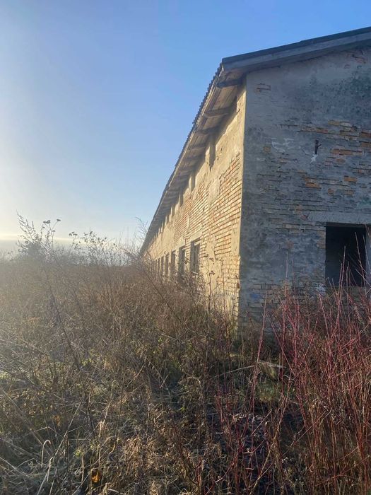 Нежитлові приміщення (ферма)