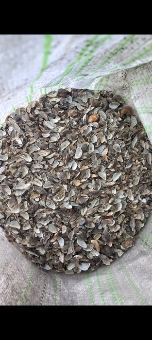 Кормовая ракушка мушля для кур,птиці