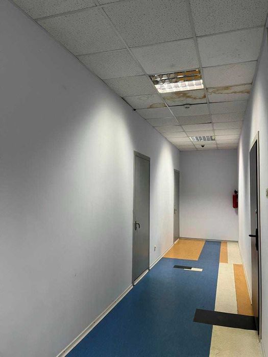 Здам в оренду офісне приміщення в Центрі.