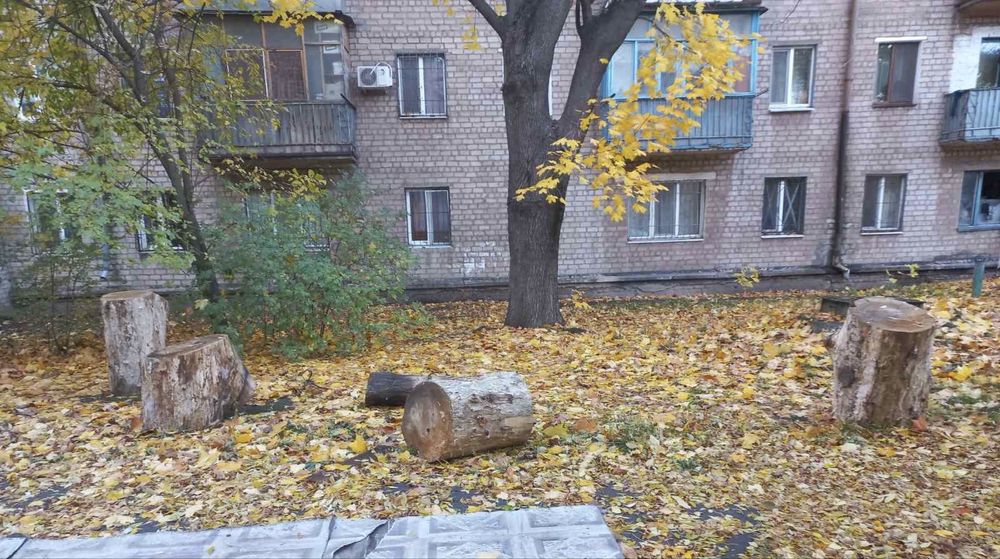 Спиляні дерева на дрова