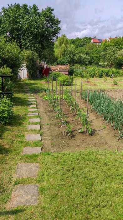 Działka ROD Słoneczne Wzgórze Lublin