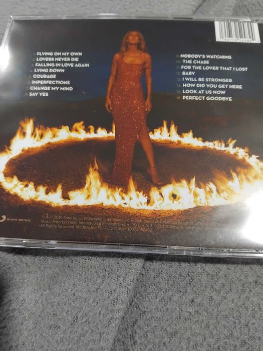 Celine dion  courage