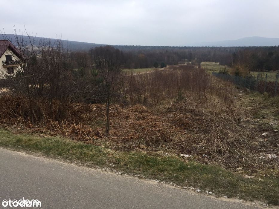Klonów - piękne działki widokowe