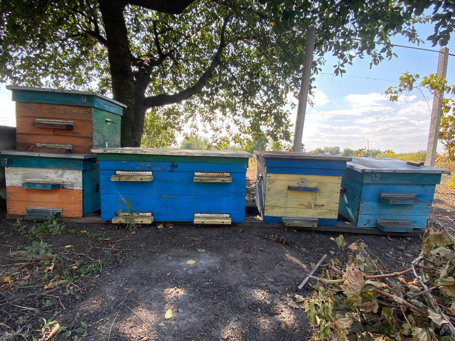 Вулики, медогонки