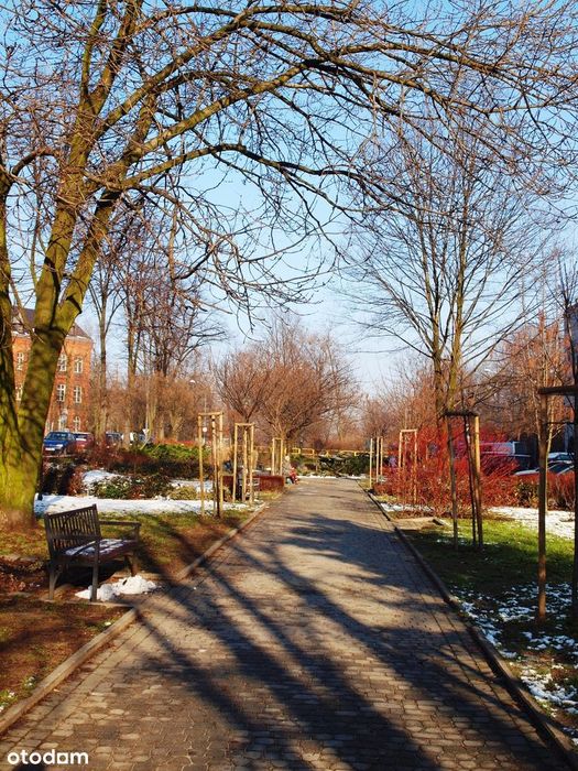 56 m² | 1. piętro | Możliwość 3 pokoi | Aleja Marka
