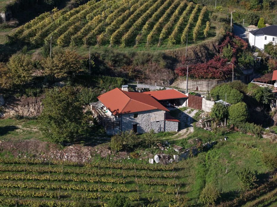 Casa em pedra c/ 5.000 m² de terreno, vinhas e lago | Minho