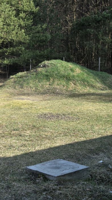 Oddam ziemię z działki