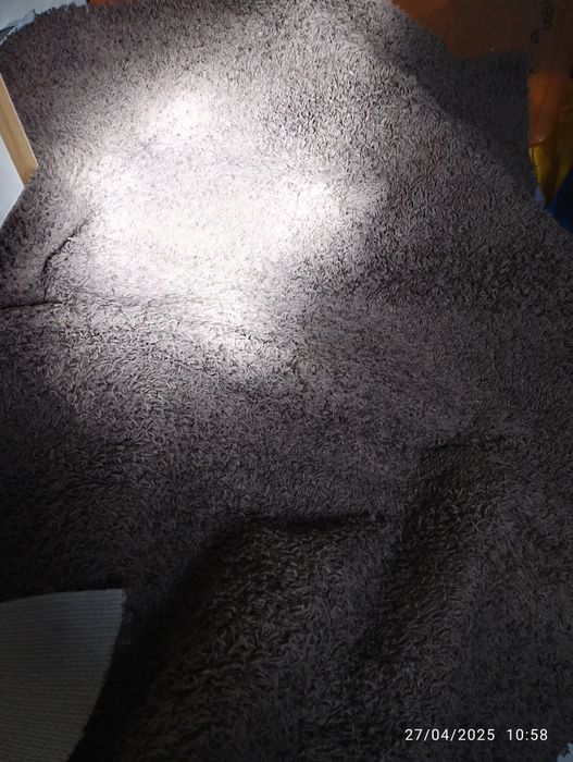 Tapete usado - pêlo curto