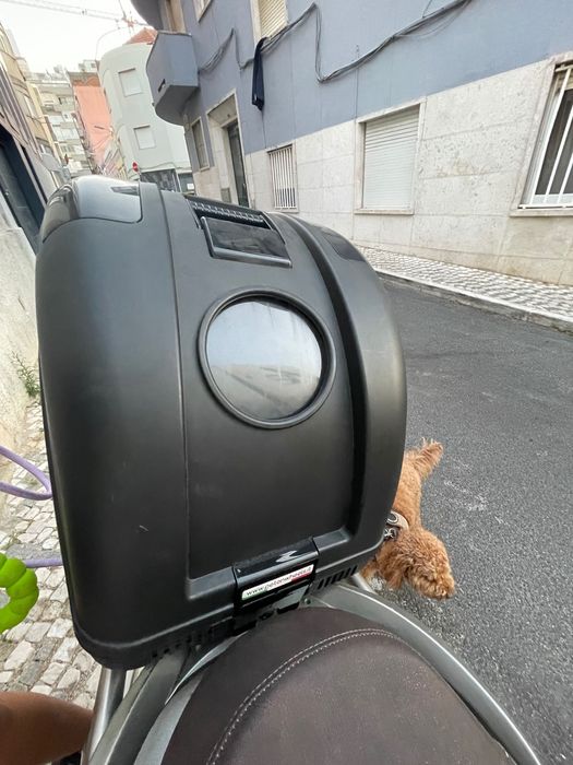 Cabine Pet para Mota