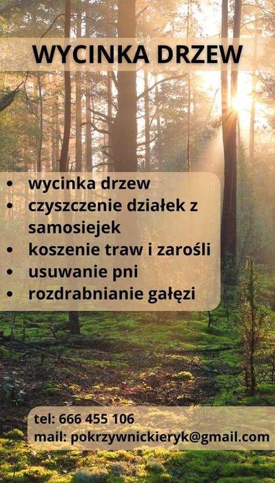 Czyszczenie działek z samosiejek/wycinka drzew/krzaków/traw/żywopłoty