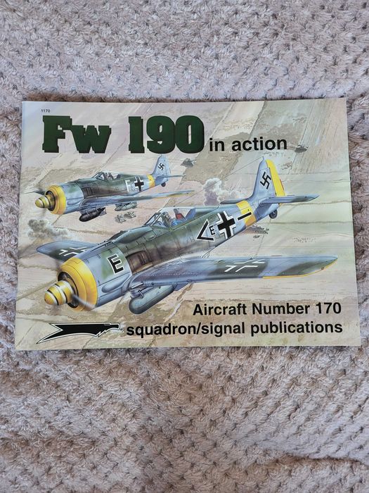 Focke Wulf Fw 190 In Action