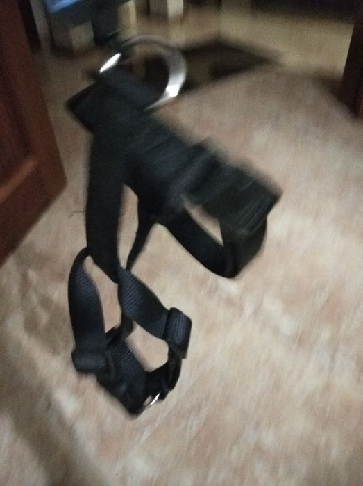 Arnês novo para Cão