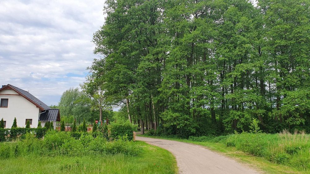 Dzialka budowlana blisko jeziorka w Sekowie – pohled 2