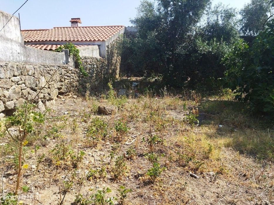 Terreno Urbano | Escalos de Baixo, Castelo Branco
