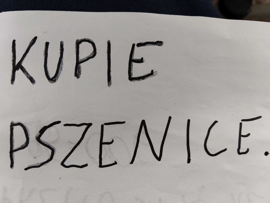 Pszenica pszenica