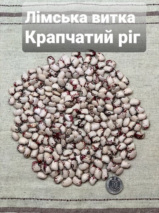 Квасоля Лімська насіння