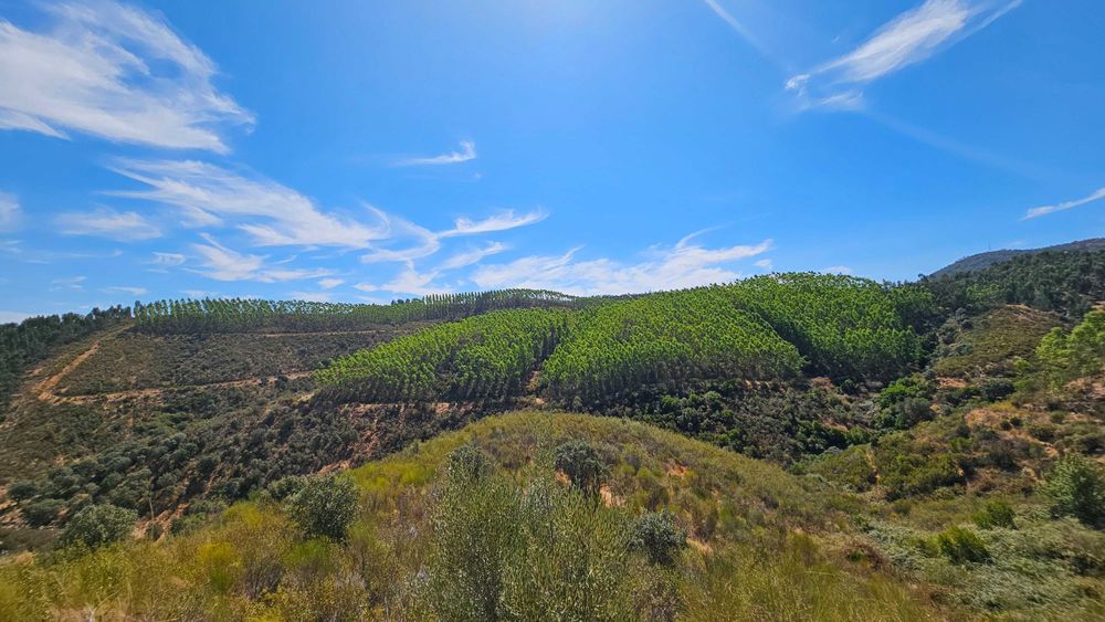 Terreno Rústico com 43 Hectares em Nisa, Portalegre