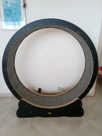 Roda de exercício para gatos / Cat exercise wheel