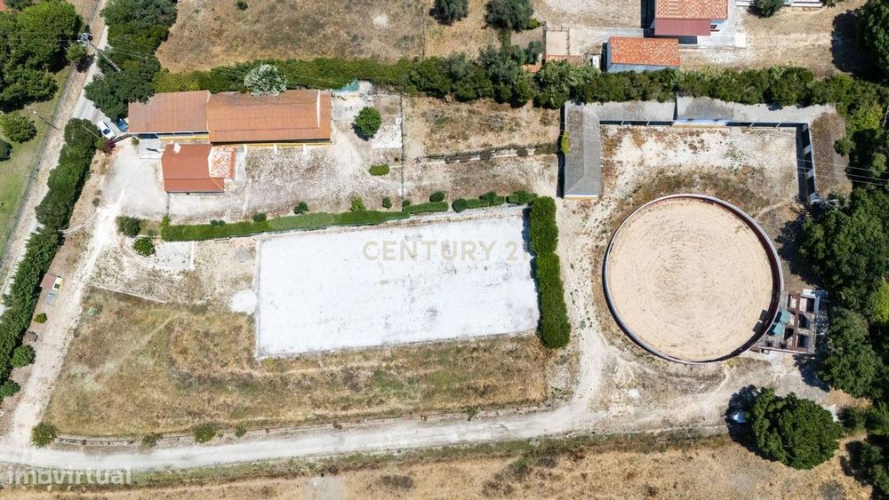 Quinta Equestre a 45 minutos de Lisboa
